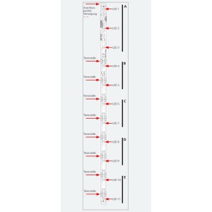 Esu 50708 Platine éclairage wagon, 11 LED Blanc Chaud, 255mm, cablé avec LEDs de fin de convoi, avec décodeur Esu Esu_50708 - 4