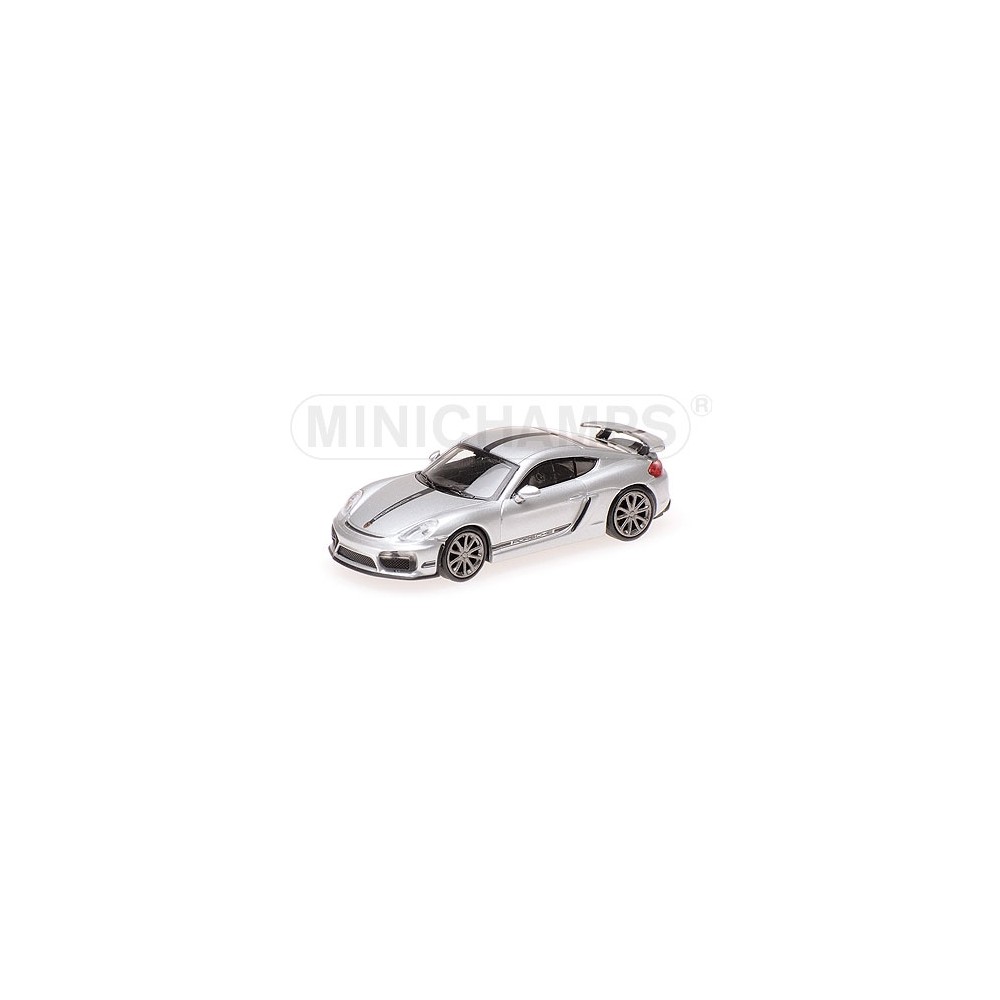 Minichamps 870066124 Voiture Porsche Cayman GT4 2016, grise Busch véhicule Busch_870066124 - 1