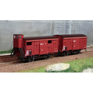 Ree modeles WB696 Set de 2 wagons couverts PLM 20 T, rouge Sideros