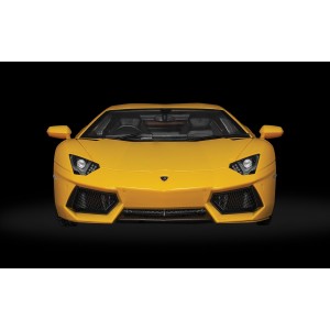 Pocher HK119 Lamborghini Aventador LP 700-4 Giallo Orion 1/8 Pocher HK119 - 2