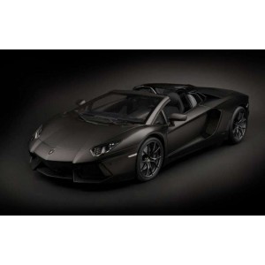 Pocher HK121 Lamborghini Aventador LP 700-4 Roadster Nero Nemesis Noir Mat 1/8 Pocher HK121F - 1
