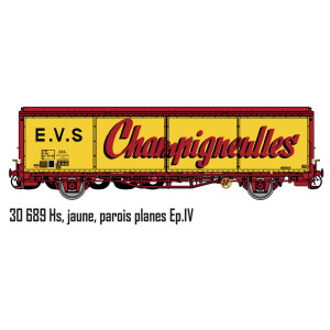 LS Models 30689 Wagon EVS, Hs, SNCF, jaune, parois planes, Champigneulles Ls models Lsm_30689 - 3