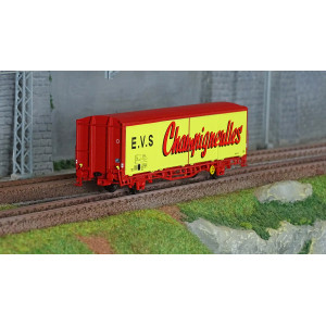 LS Models 30689 Wagon EVS, Hs, SNCF, jaune, parois planes, Champigneulles Ls models Lsm_30689 - 1