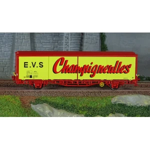 LS Models 30689 Wagon EVS, Hs, SNCF, jaune, parois planes, Champigneulles Ls models Lsm_30689 - 2