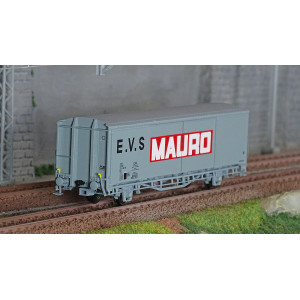 LS Models 30692 Wagon EVS, Hbis, SNCF, gris, parois planes, Mauro Ls models Lsm_30692 - 1