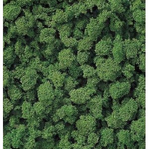 Busch 7362 Flocage mousse buisson vert moyen Busch Busch_7362 - 1